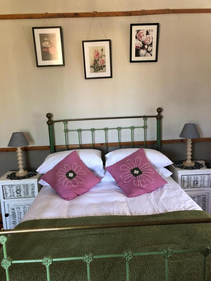 Apple And Rose Bed & Breakfast Белфаст Екстериор снимка