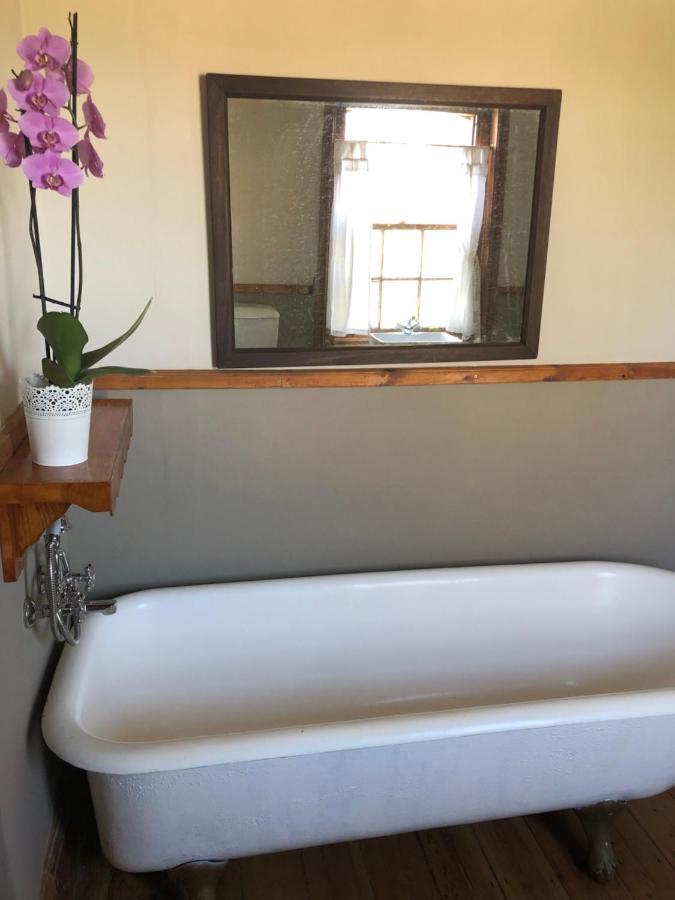 Apple And Rose Bed & Breakfast Белфаст Екстериор снимка
